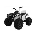 12 volt Elektrische quad Quad productfoto
