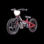 24 volt elektrische balance bike
