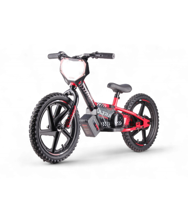 24 volt elektrische balance bike