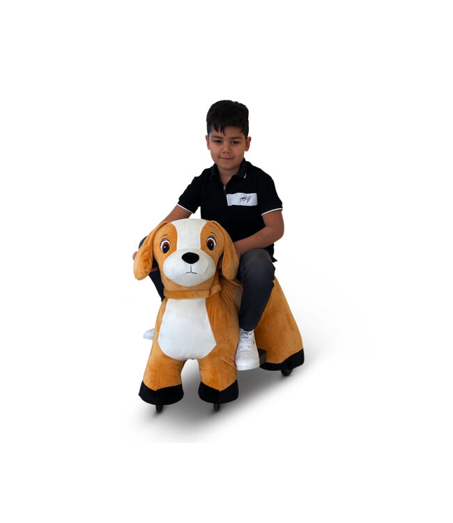 PetRide Hond Petride productfoto