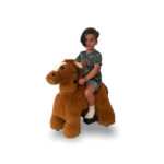 PetRide Paard Petride productfoto